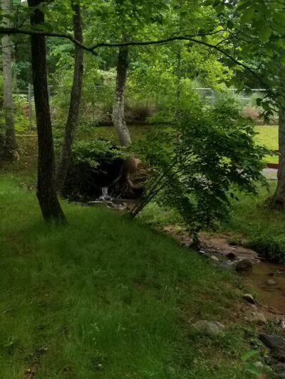 Spring Park - Connelly Springs, NC