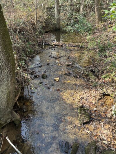 Spring Park - Connelly Springs, NC