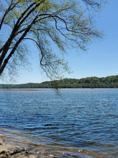 Conowingo Park and Octoraro Creek Trail - Conowingo, MD