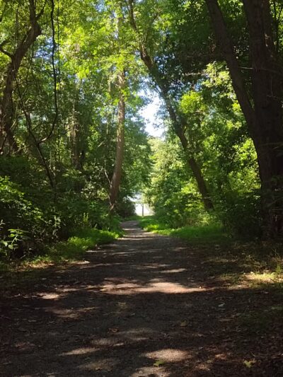 Conowingo Park and Octoraro Creek Trail - Conowingo, MD