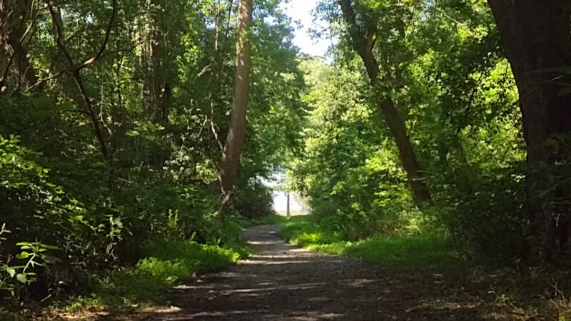Conowingo Park and Octoraro Creek Trail - Conowingo, MD
