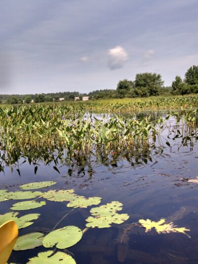 Elm Brook Park - Contoocook, NH