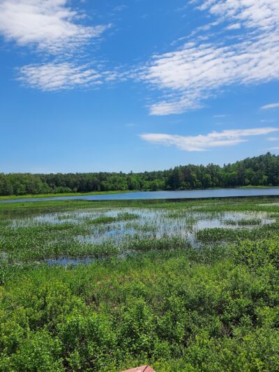 Elm Brook Park - Contoocook, NH