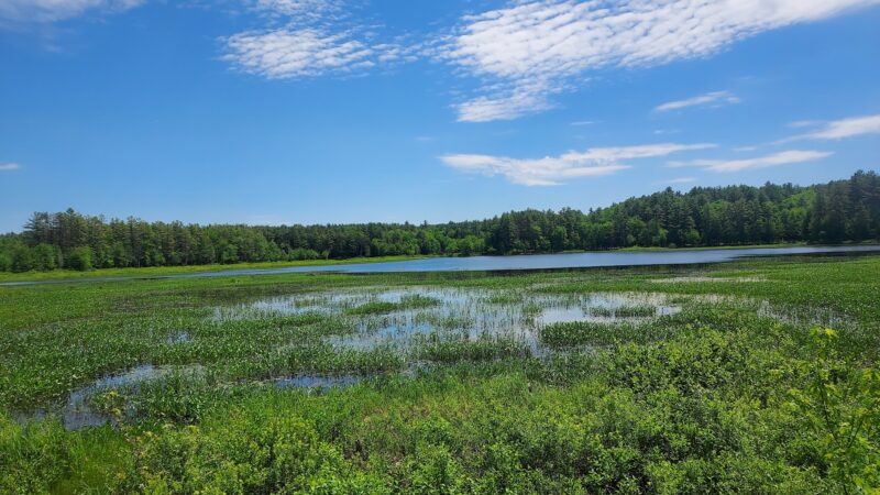 Elm Brook Park - Contoocook, NH