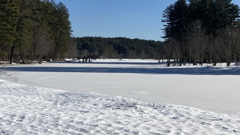 Elm Brook Park - Contoocook, NH