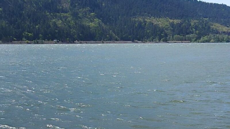 Sailboard Park - Cook, WA