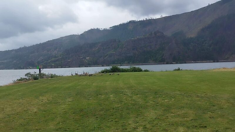 Sailboard Park - Cook, WA