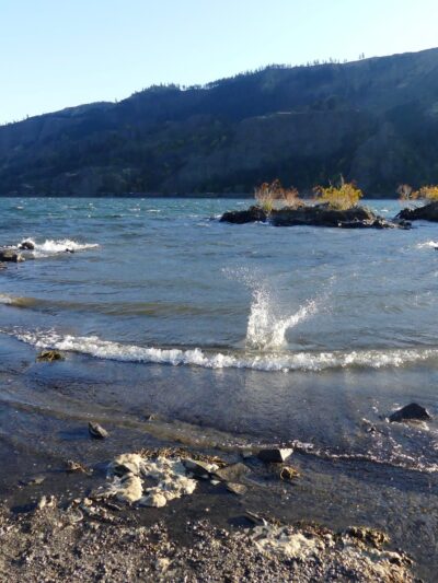 Sailboard Park - Cook, WA