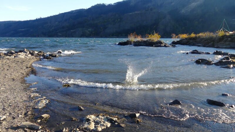 Sailboard Park - Cook, WA