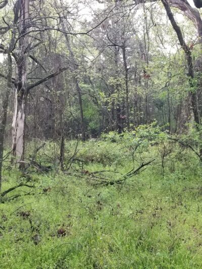 Liberty Grove Campground - Cooper, TX