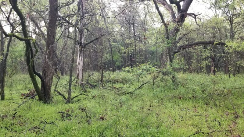 Liberty Grove Campground - Cooper, TX