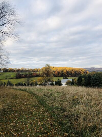 Peppermint Road Park - Coopersburg, PA