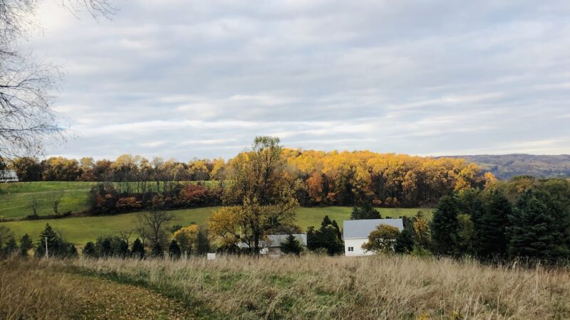 Peppermint Road Park - Coopersburg, PA