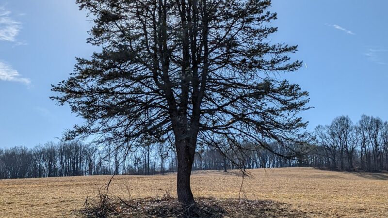 Peppermint Road Park - Coopersburg, PA