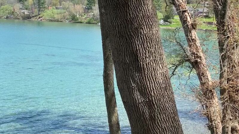 Council Rock Park - Cooperstown, NY