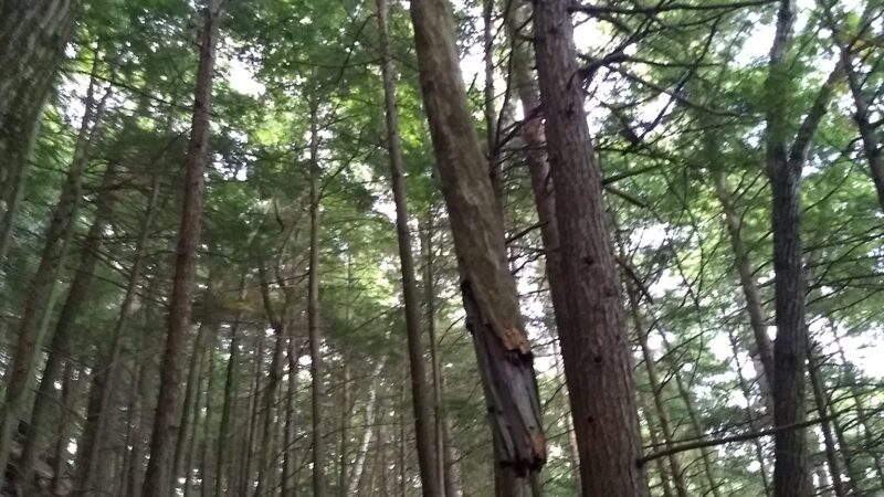 Fairy Springs Park - Cooperstown, NY