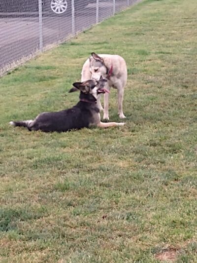 Gracieland - Coos Bay, OR