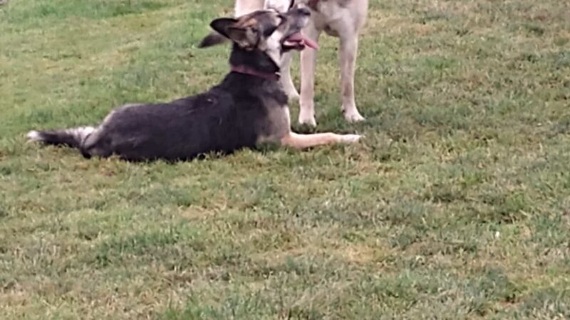 Gracieland - Coos Bay, OR