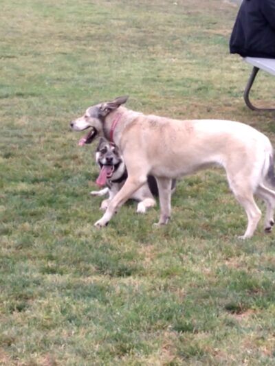 Gracieland - Coos Bay, OR