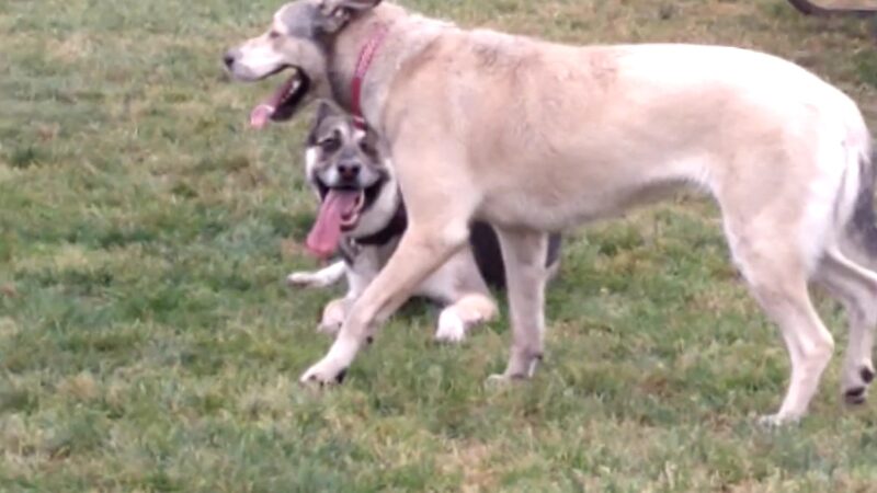 Gracieland - Coos Bay, OR