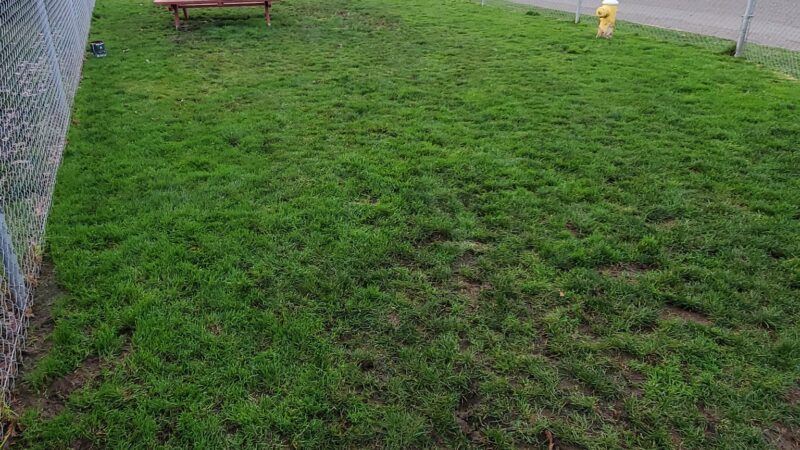 Gracieland - Coos Bay, OR