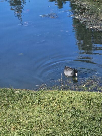 Parking Mingus park - Coos Bay, OR