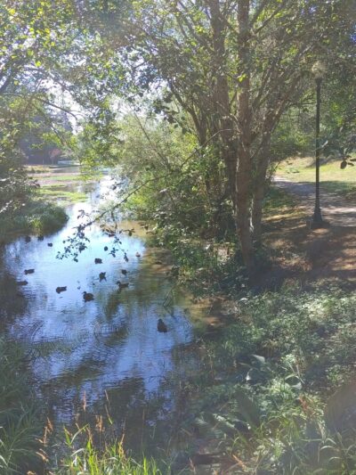 Parking Mingus park - Coos Bay, OR