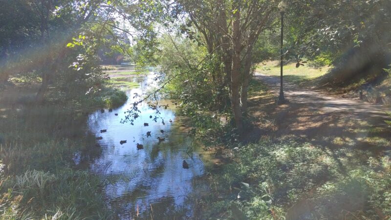 Parking Mingus park - Coos Bay, OR