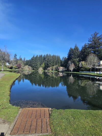 Parking Mingus park - Coos Bay, OR