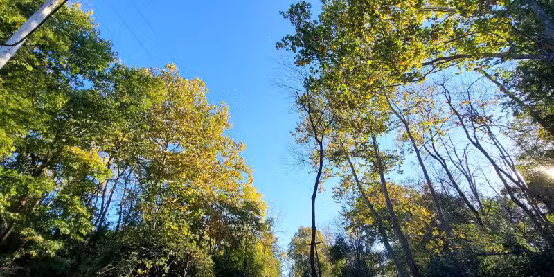 Ironton Rail Trail Parking - Coplay, PA