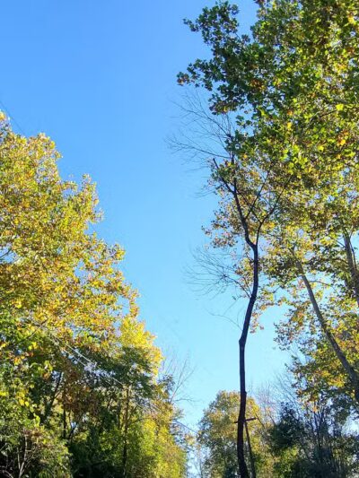Ironton Rail Trail Parking - Coplay, PA