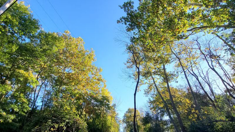 Ironton Rail Trail Parking - Coplay, PA