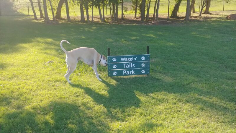 Coppell Dog Park - Coppell, TX