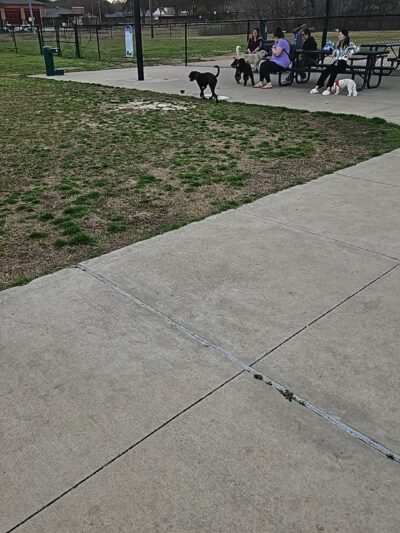 Coppell Dog Park - Coppell, TX