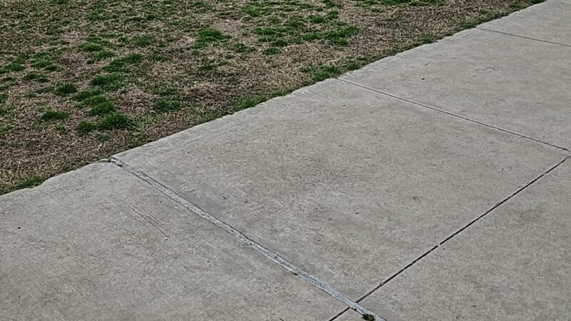 Coppell Dog Park - Coppell, TX