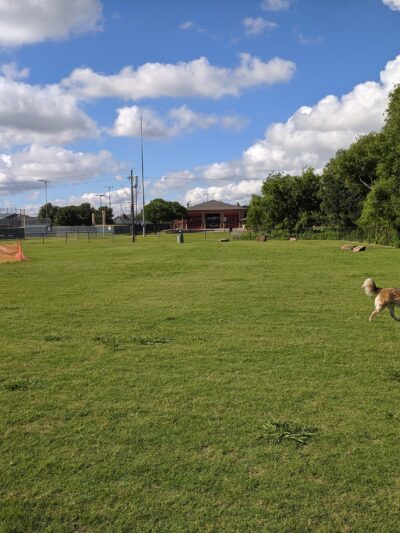 Coppell Dog Park - Coppell, TX