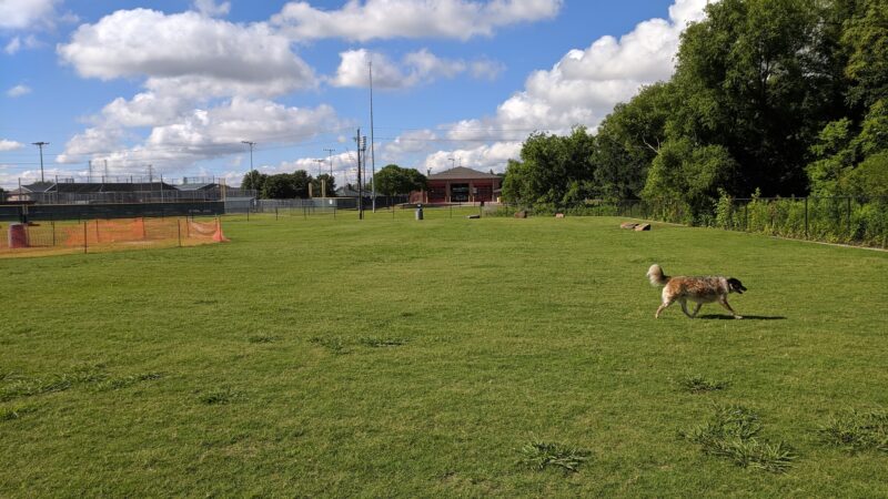 Coppell Dog Park - Coppell, TX