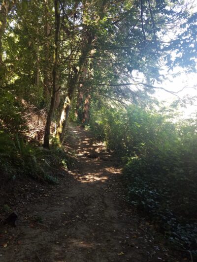 5th Street Park - Coquille, OR