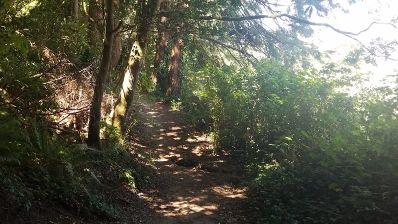 5th Street Park - Coquille, OR