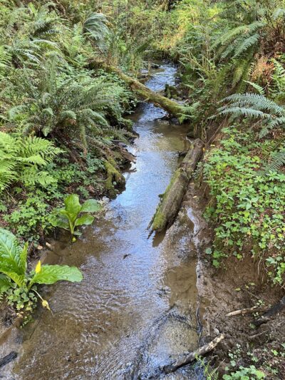 Hundred Acre Woods - Coquille, OR