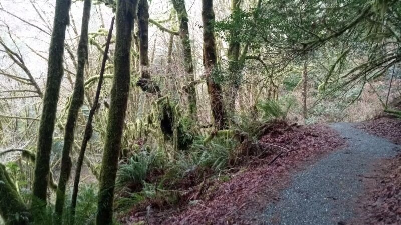 Hundred Acre Woods - Coquille, OR