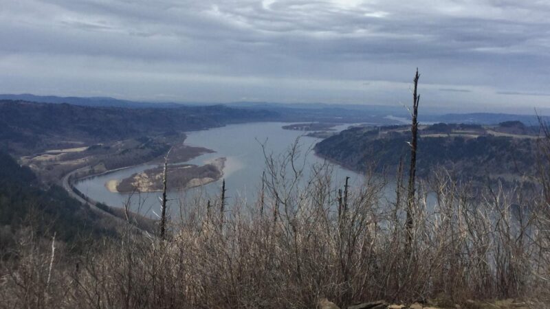 Angel's Rest Lookout - Corbett, OR
