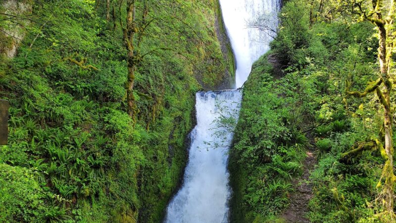 Bridal Veil Falls State Scenic Viewpoint - Corbett, OR