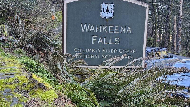 Wahkeena Falls - Corbett, OR