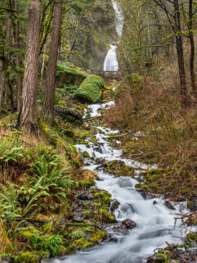 Wahkeena Falls - Corbett, OR