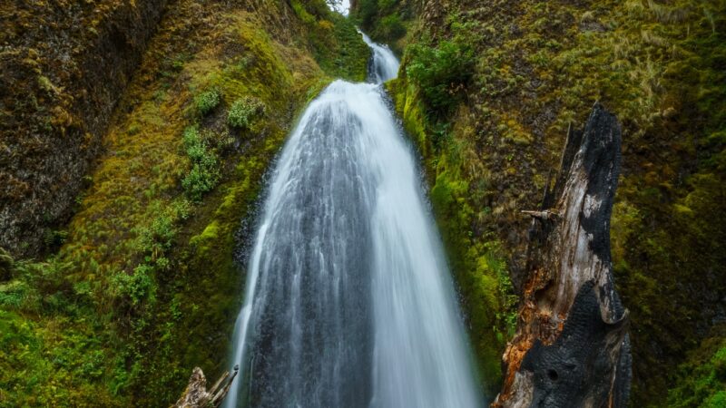 Wahkeena Falls - Corbett, OR