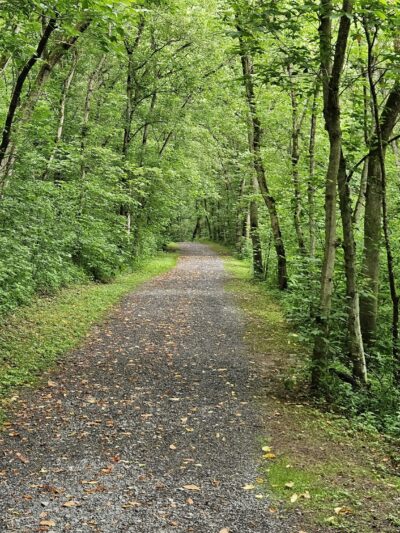 Mason-Dixon Park - Core, WV