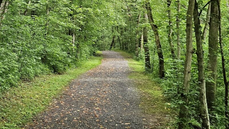 Mason-Dixon Park - Core, WV