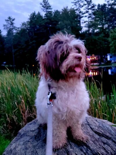 Alpine Lake Campground - Corinth, NY