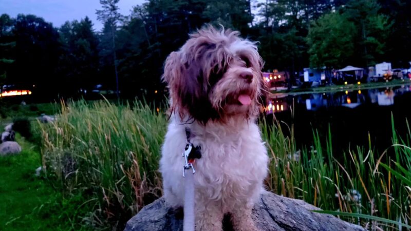 Alpine Lake Campground - Corinth, NY